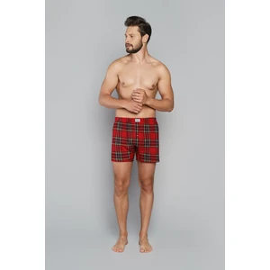 Men's boxer shorts Narvik - print