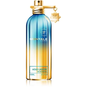 Montale Aoud Lagoon parfumovaná voda unisex 100 ml