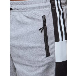 Light gray men's shorts Dstreet SX2107
