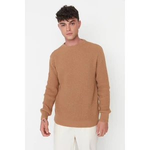 Trendyol Camel Men Regular Fit Crew Neck Textured Knitwear Sweater