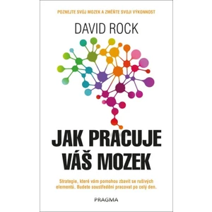 Jak pracuje váš mozek - David Rock