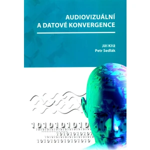 Audiovizuální a datové konvergence