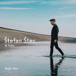 DUJE VITOR - STEC STEFAN A FAJTA [CD album]