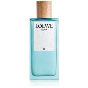 Loewe Agua Él toaletní voda pro muže 100 ml