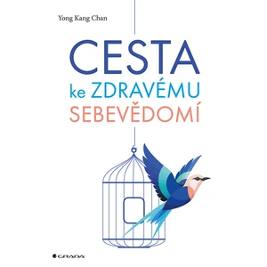 Cesta ke zdravému sebevědomí, Chan Kang Yong