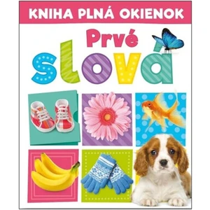 Kniha plná okienok Prvé slova - Andrew Burgess, Pooja Desai