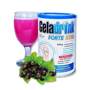 Geladrink Geladrink Forte HYAL 420 g Černý rybíz