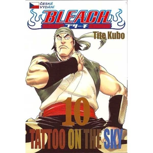 Bleach 10: Tattoo on the Sky - Tite Kubo