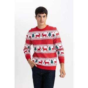 DEFACTO New Year's Themed Standard Fit Patterned Crew Neck Sweater