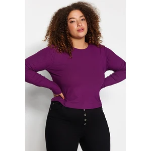 Trendyol Curve Plum Bodycone Ribbed Knit Crop Blouse