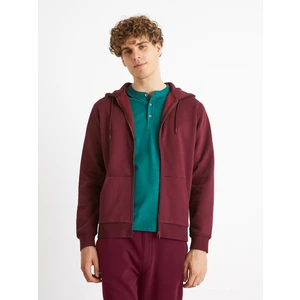 Celio Zipper Sweatshirt Vethree - Men