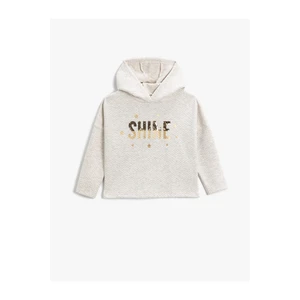 Koton Hooded Sweatshirt with Sequin Embroidered Silvery.