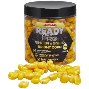 Starbaits kukuřice bright ready seeds 250 ml - pro ginger squid