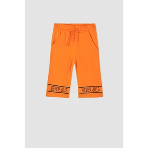 DEFACTO Boy Regular Fit Fabric Shorts