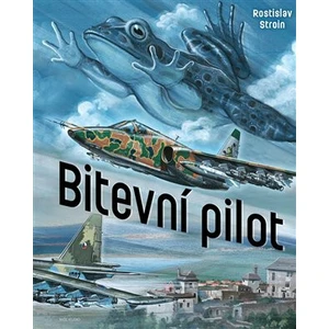 Bitevní pilot - Rostislav Stroin