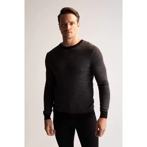 Men's sweater DEFACTO