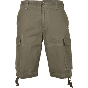 Vintage Olive Shorts