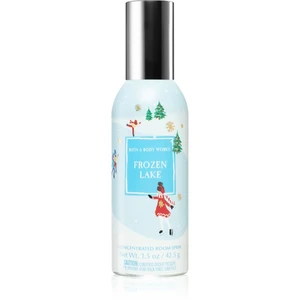 Bath & Body Works Frozen Lake bytový sprej 42,5 g