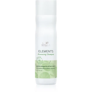 Obnovujúci šampón na regeneráciu vlasov Wella Elements Renewing - 250 ml (99350097071) + DARČEK ZADARMO