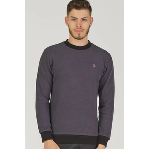 V4004 DEWBERRY MEN'S SWEATSHIRT-ANTHRACITIS