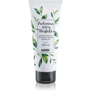 Anwen Protein Green Tea vlasový kondicionér Medium Porosity 200 ml