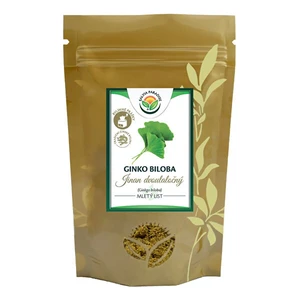 Salvia Paradise Ginkgo biloba - Jinan mletý list 120g