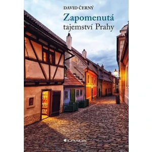 Zapomenutá tajemství Prahy, Černý David