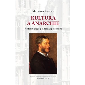 Kultura a anarchie -- Kritický esej o politice a společnosti