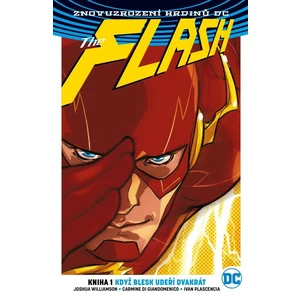 Flash 1: Když blesk udeří dvakrát  V8