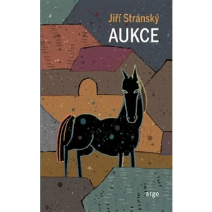 Aukce - Jiří Stránský