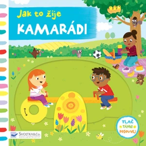 Jak to žije Kamarádi - Meredith Samantha