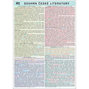 SOUHRN ČESKÉ LITERATURY SŠ A4 - Brdičková Helena [Tabulky Lamino]