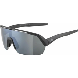 Alpina Turbo HR Black Matt/Black Gafas deportivas