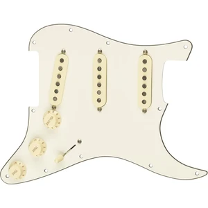 Fender Pre-Wired Strat SSS CUST 69