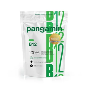 Rapeto Pangamin B12 200 tablet