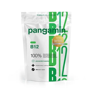 Rapeto Pangamin B12 200 tabliet