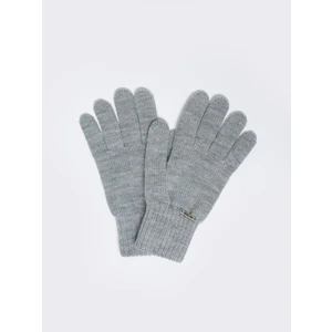 Big Star Woman's Gloves 290028 Grey 901