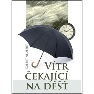 Vítr čekající na déšť - Neubert Robert