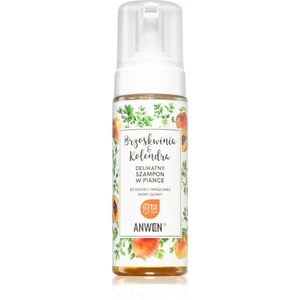 Anwen Peach & Coriander čisticí pěna pro suchou a citlivou pokožku hlavy 170 ml