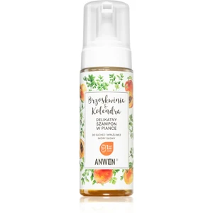 Anwen Peach & Coriander čistiaca pena pre suchú a citlivú pokožku hlavy 170 ml