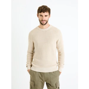 Celio Sweater Fesweet - Men's