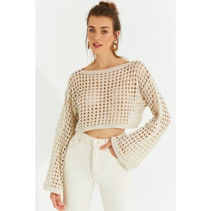 Cool & Sexy Women's Ecru Silvery Openwork Knitwear Short Blouse YV141