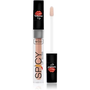 Wibo Lip Gloss Spicy lesk na pery pre väčší objem 7 3 ml