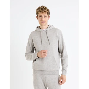 Celio Fesix Hoodie - Men