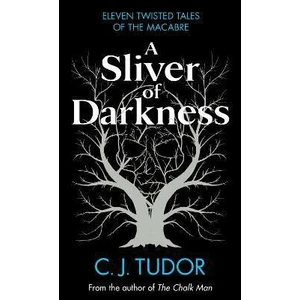 A Sliver of Darkness (Defekt) - C. J. Tudor