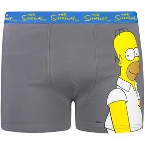 Férfi boxeralsó Character Simpsons 1P