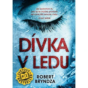 Dívka v ledu, Bryndza Robert