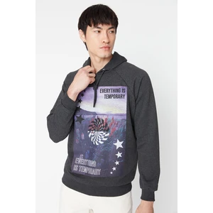 Trendyol Sweatshirt - Gray - Oversize