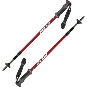 Fizan Explorer Bâtons de trekking