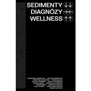 Sedimenty diagnózy wellness